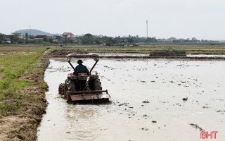 Lộc Hà hướng tới mục tiêu hơn 20 nghìn tấn lương thực, lạc vụ xuân